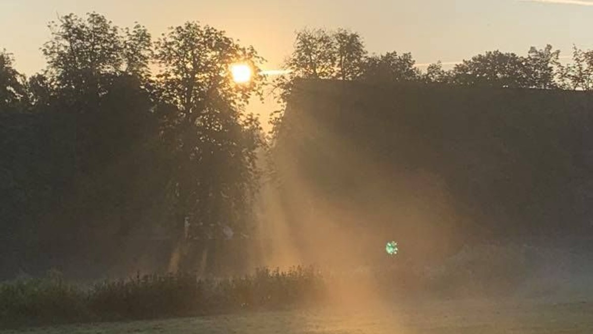 Morgensang