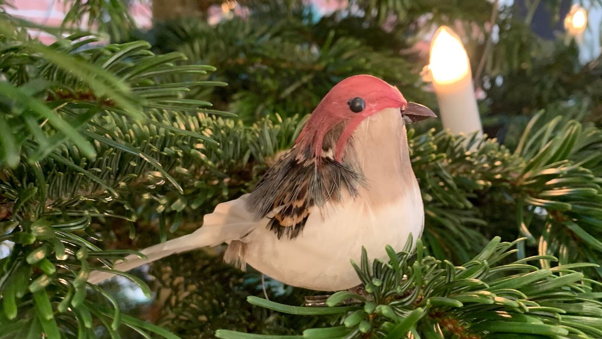 Julesang og quiz (Eftermiddagsmøde)