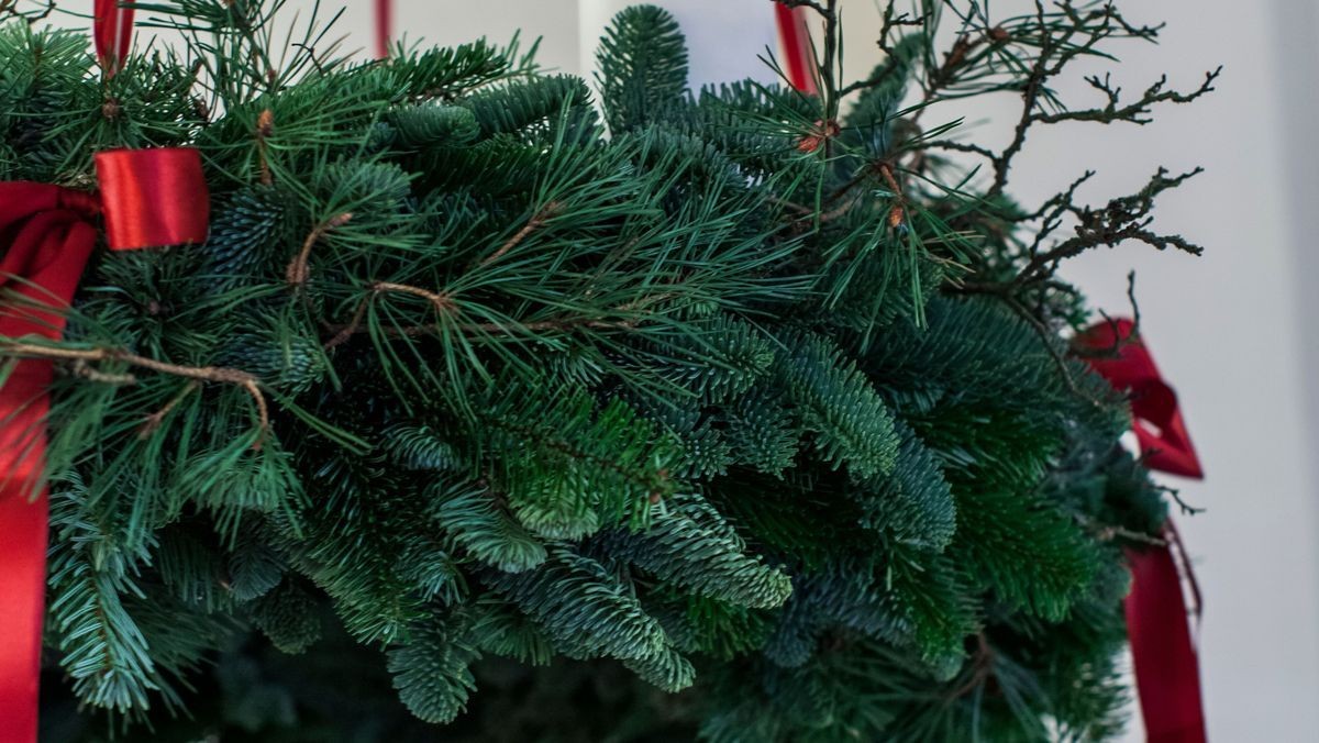 Højmesse v/Esper Silkjær- 1. s. i advent * 2 dåb