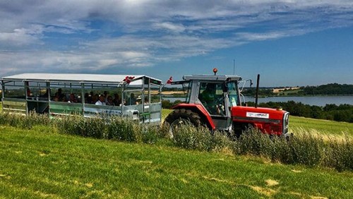 Sommerudflugt til Honsherred