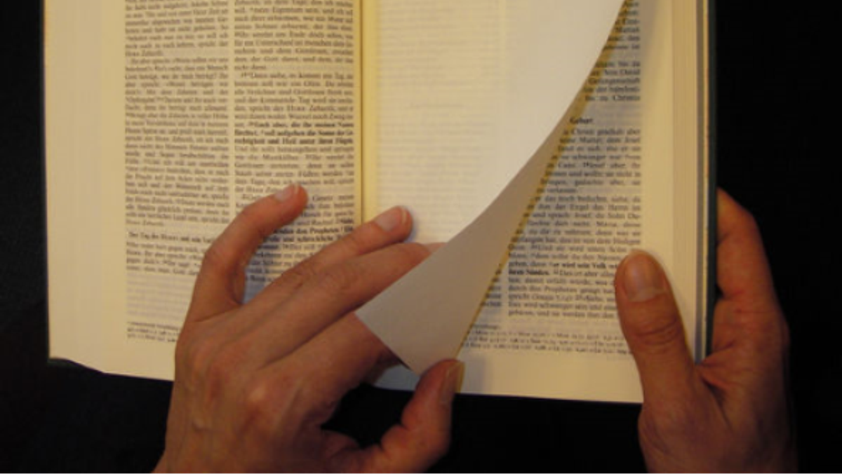 Bibel für Neugierige - via Zoom