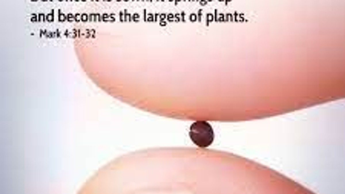 Online recording of this mornings Worship 4 All Communion Service with Bishop John Pritchard