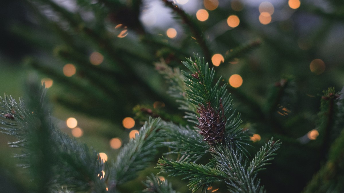 Gudstjeneste juledag i Enghave Kirke