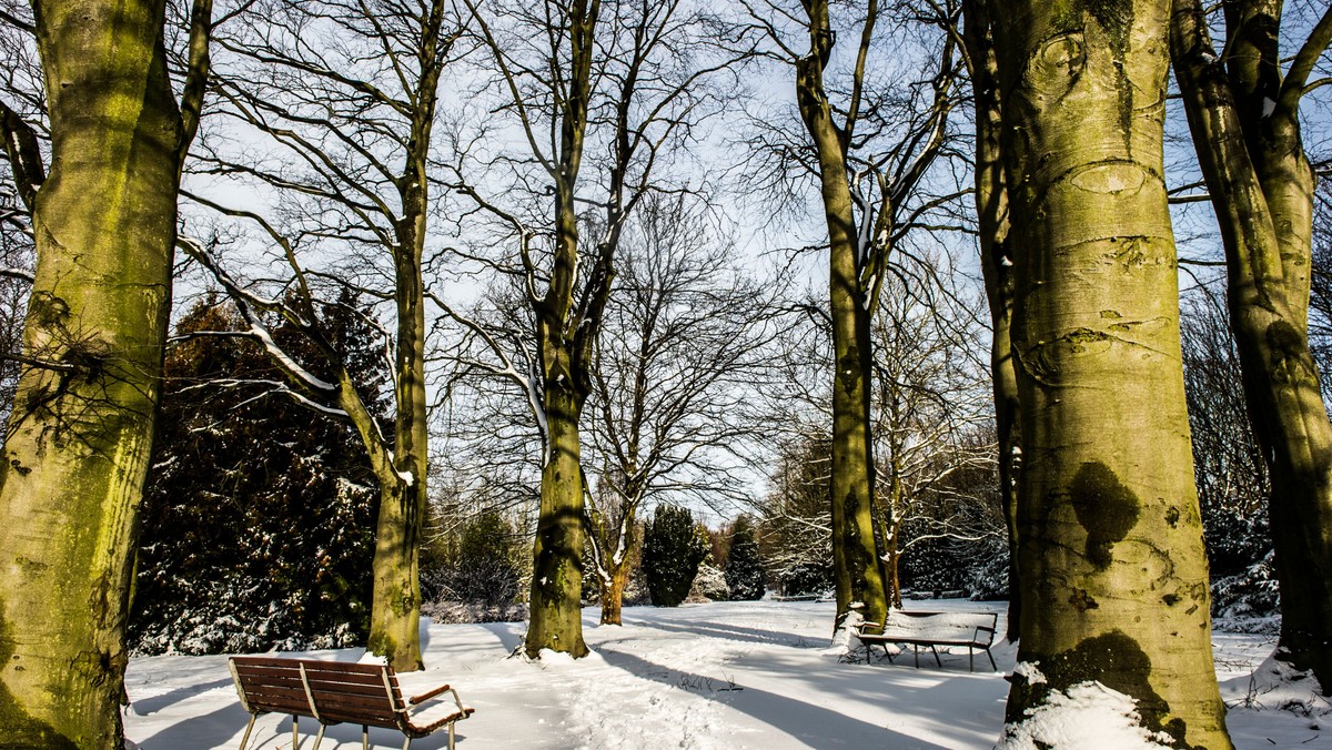 Fællessang: Vinter