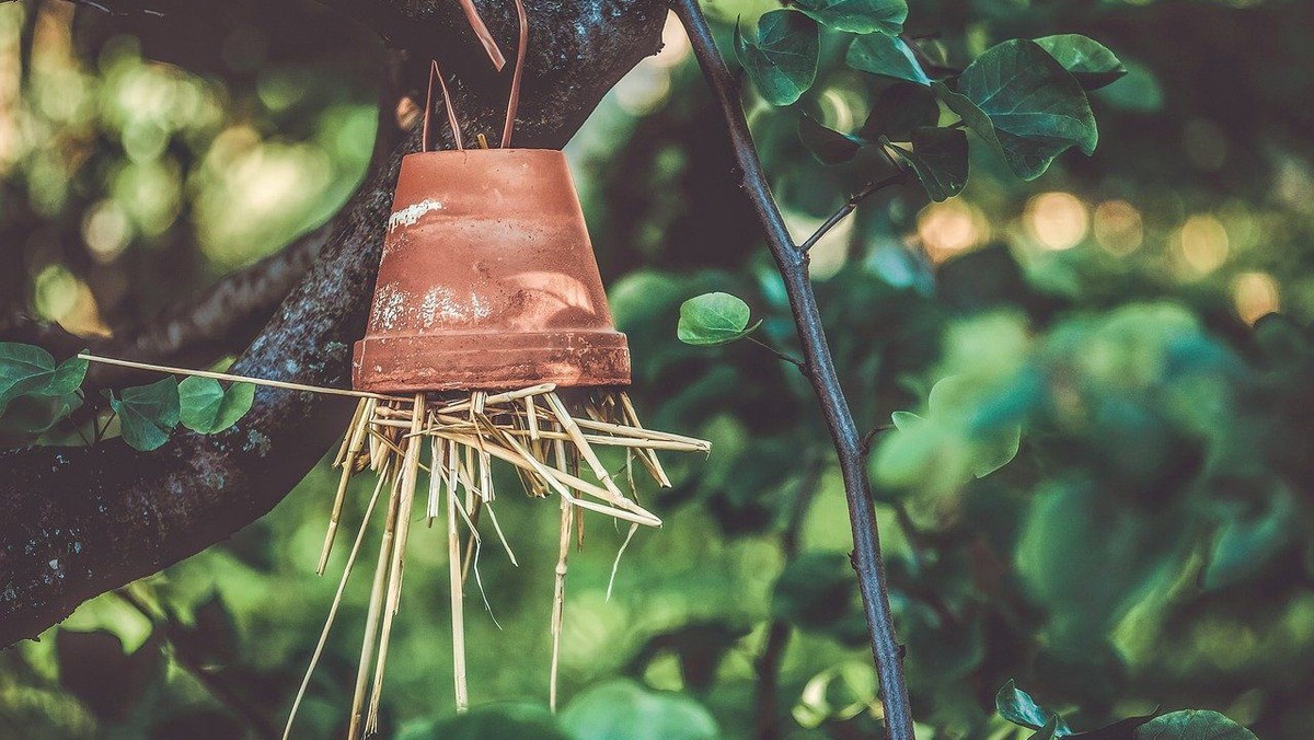 Ferienaktion: Wer baut mit uns Insektenhotels ?