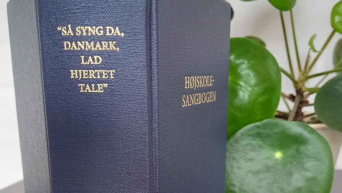 Aften for enlige