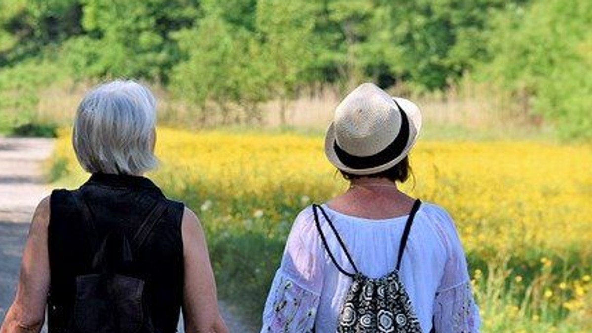 Gemeinsam auf dem Pilgerweg