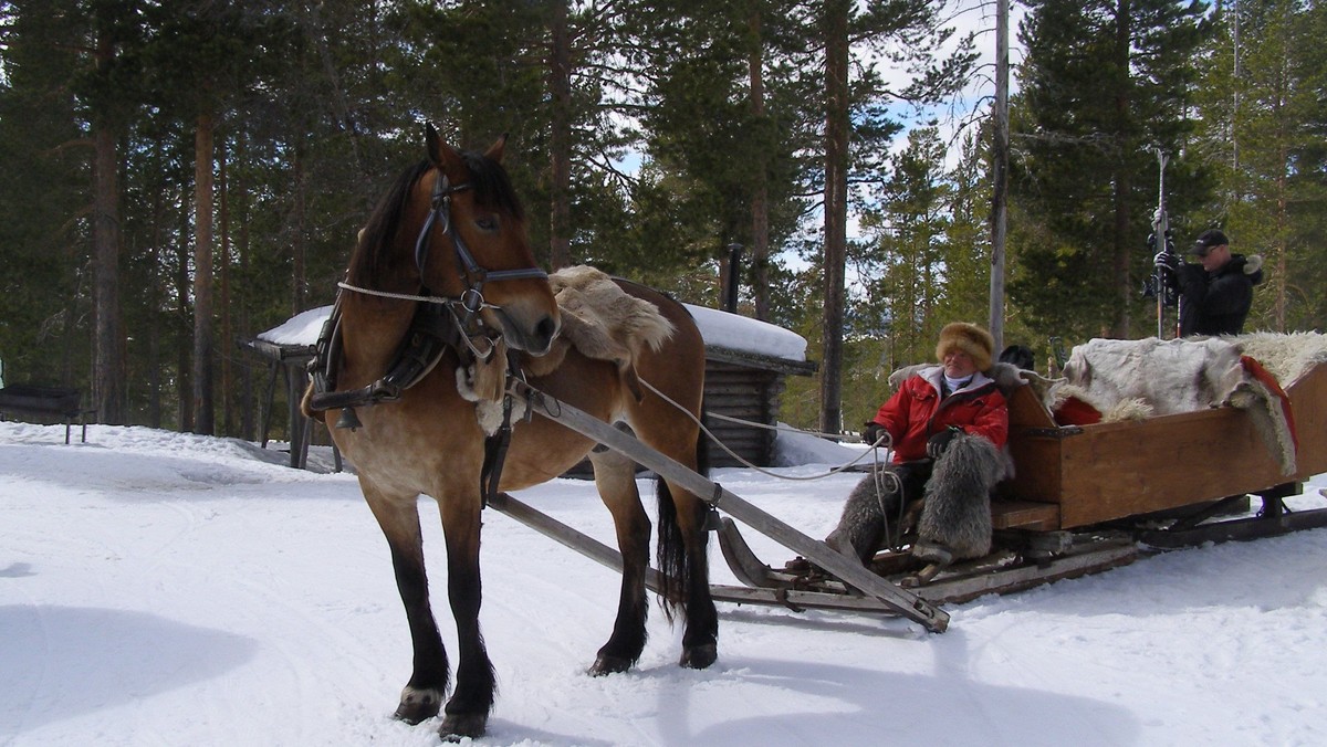 3. søndag i advent. Højmesse i Humlebæk Kirke