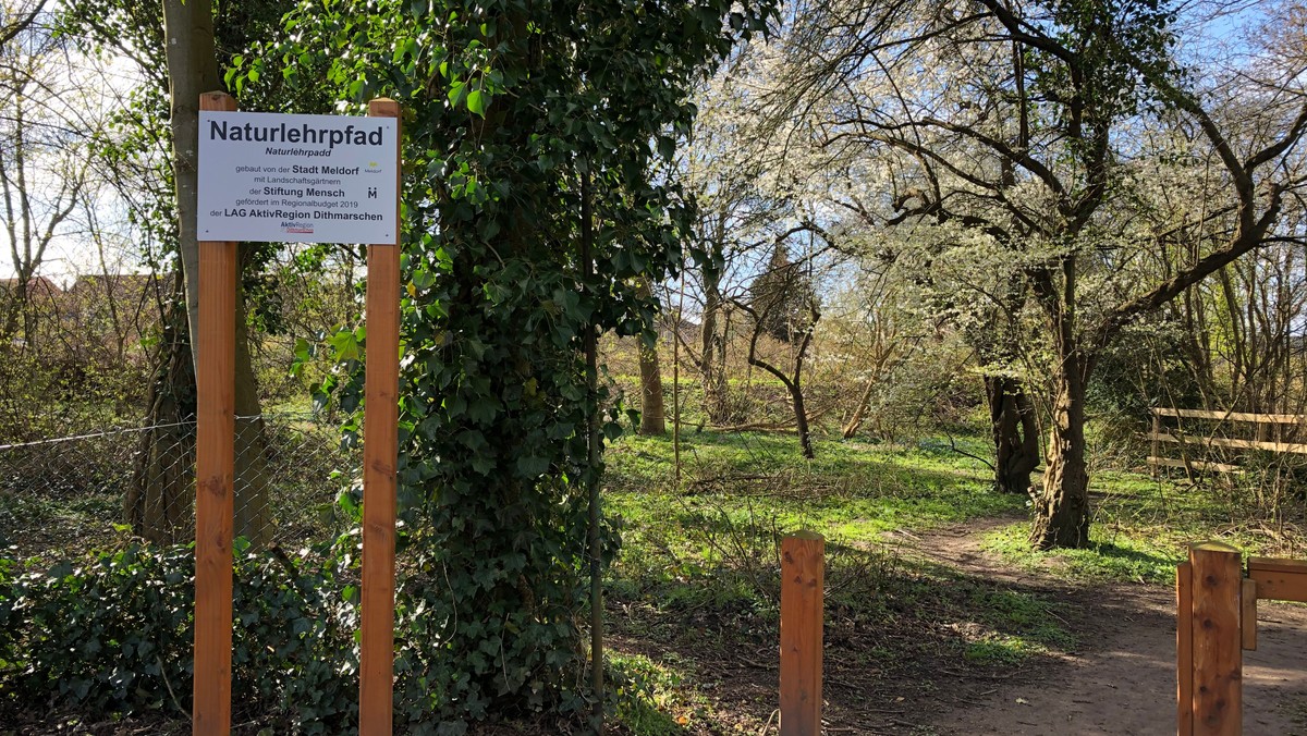 Naturnahe Gärten, Vortrag und Workshops