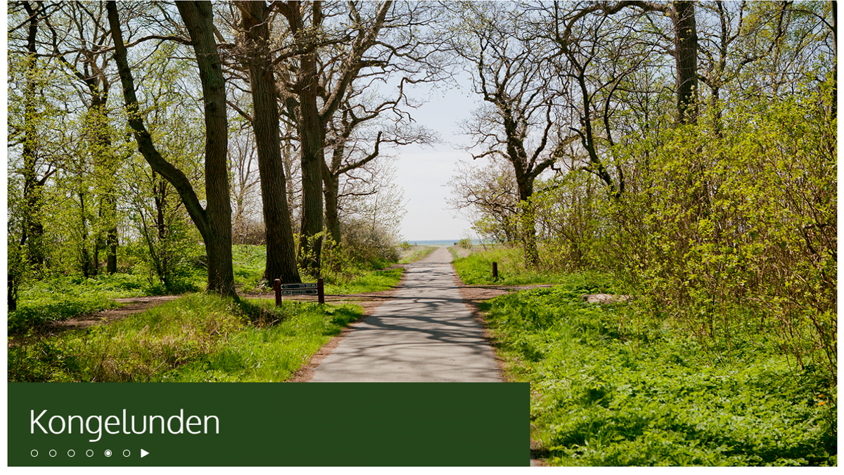 Pilgrimsvandring - Amarminoen