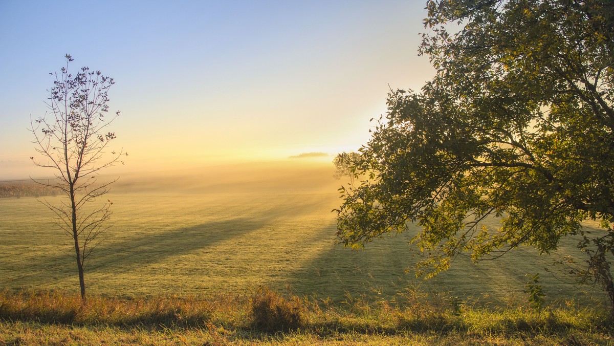 Morgensang hver onsdag – udendørs!