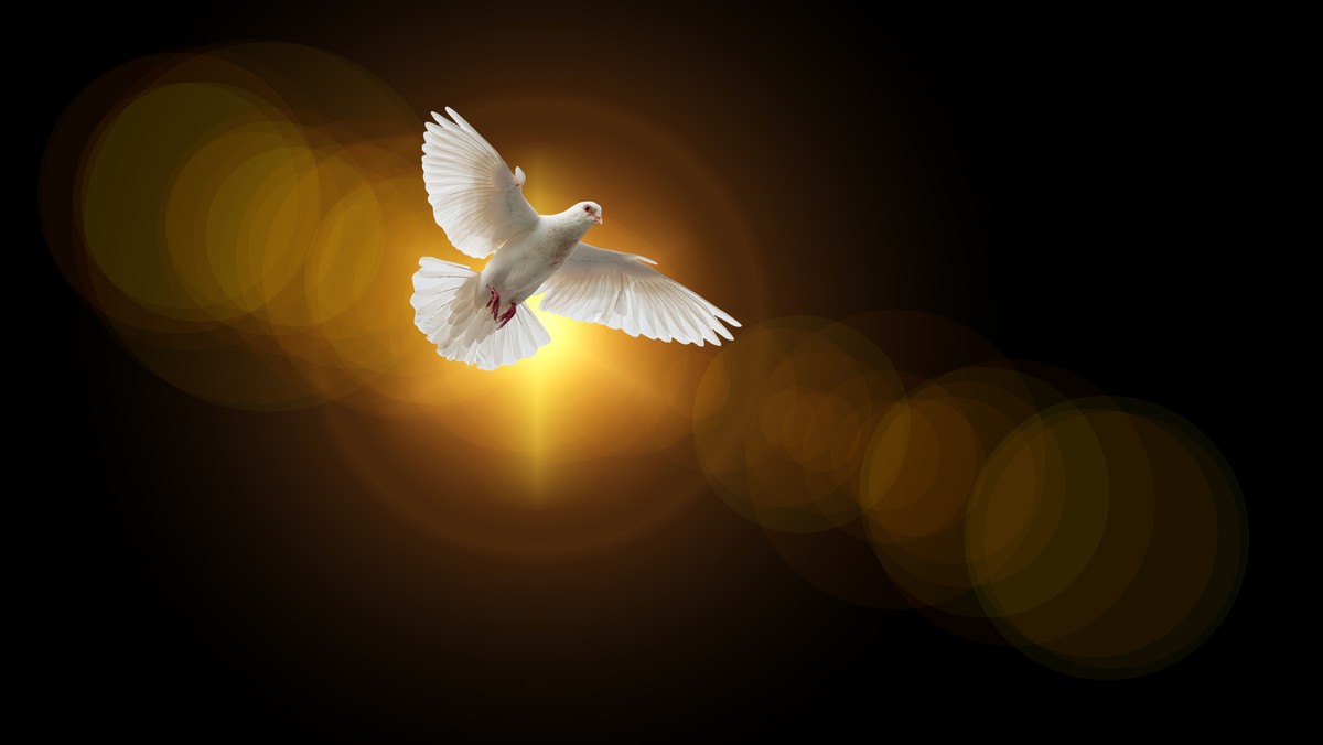 VK Worship and Thanksgiving Service in English / Michael Rønne Rasmussen