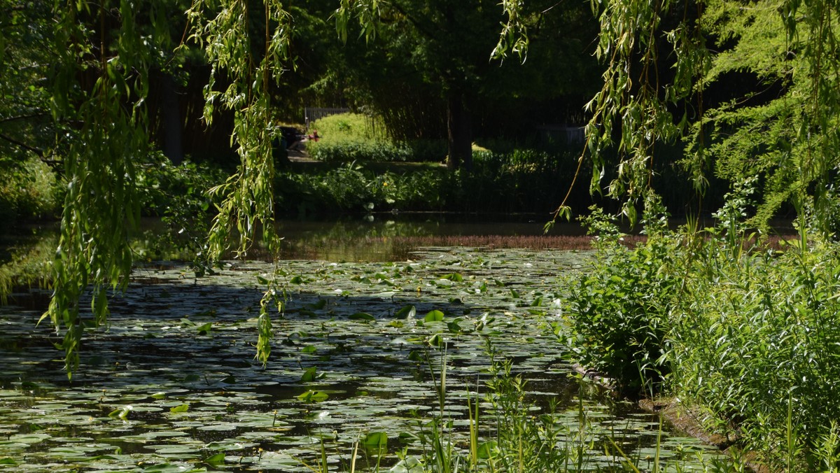 Halbtages-Ausflug in den Botanischen Garten, Klein Flottbek