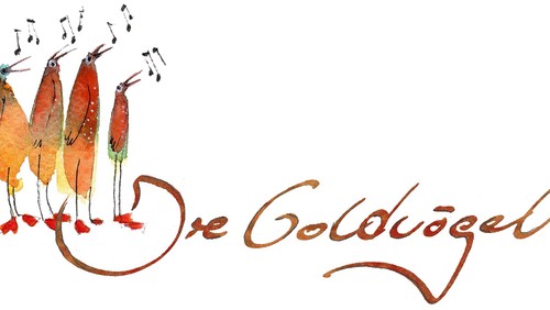 ©Goldvögel