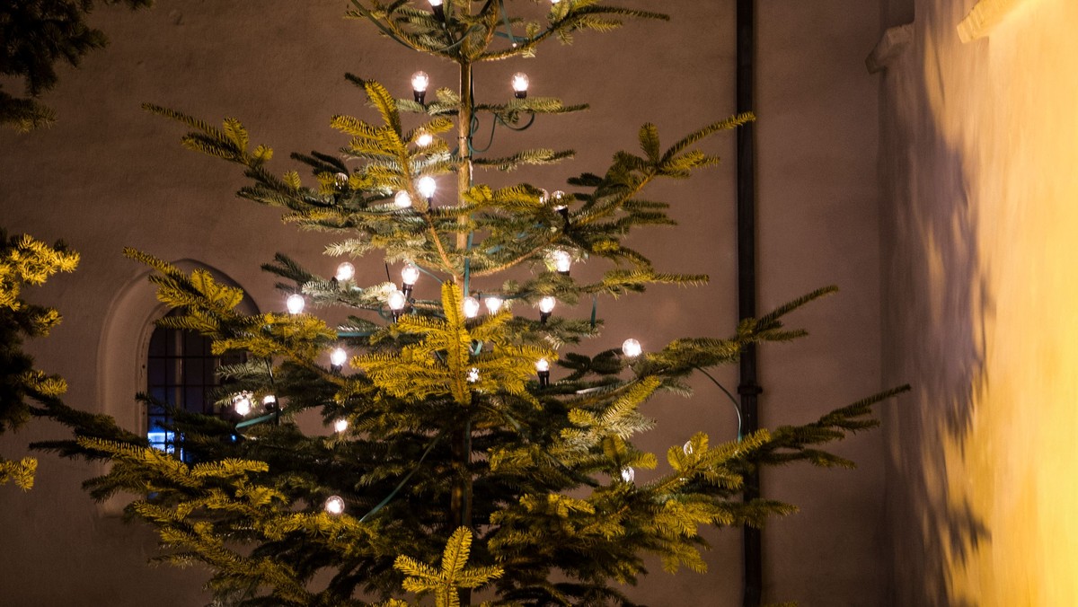Adventsgudstjeneste - og juletræstænding