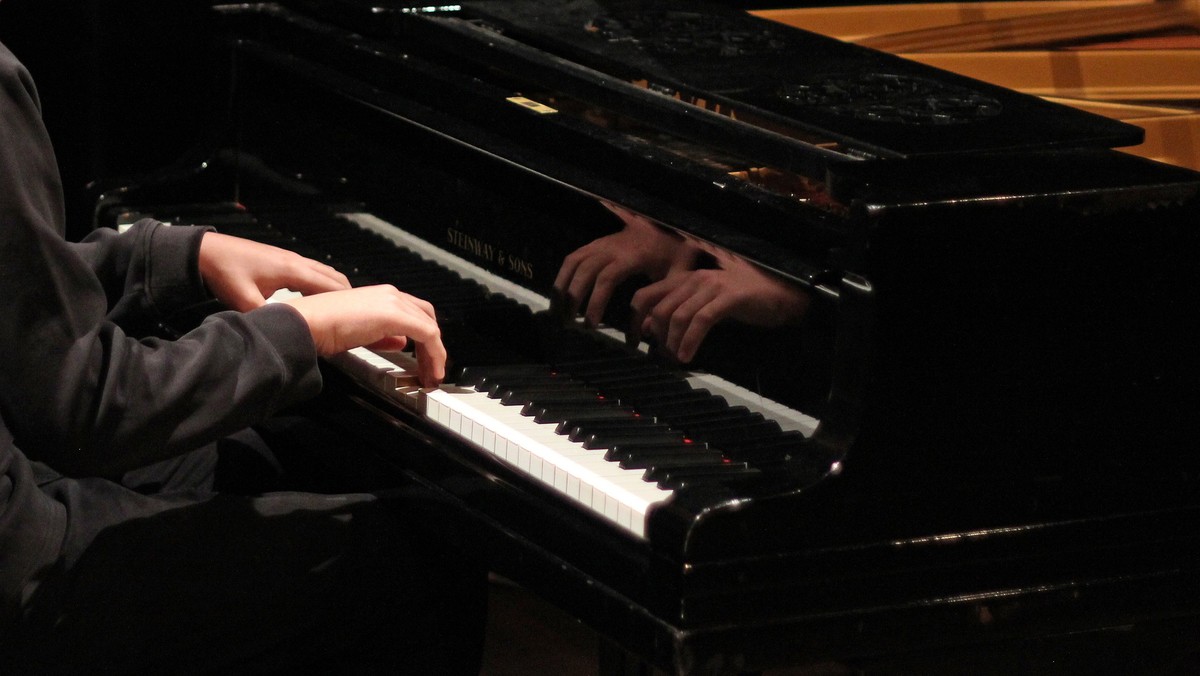 Steinway Konkurence