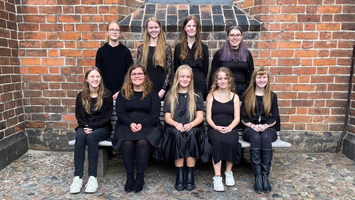 VFK & Vennerne, med videre: En buket af sommersange - Cantica korenes sommerkoncert