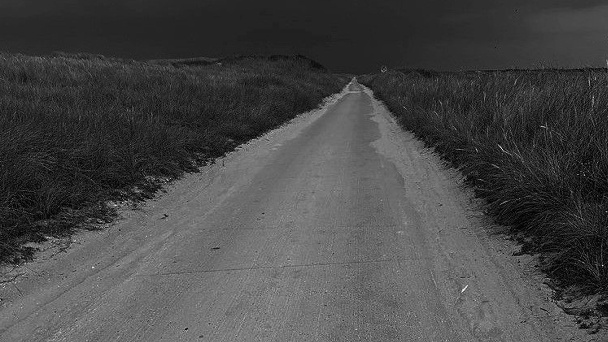 Litteraturaften - foredrag om Cormac McCarthy og romanen "Vejen" ved professor, dr.phil. Isak Winkel Holm