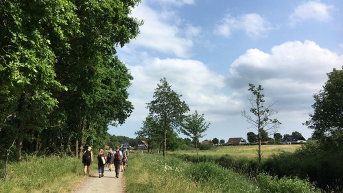 Pilgrimsvandring v. Avnø v. Elizabeth Knox-Seith
