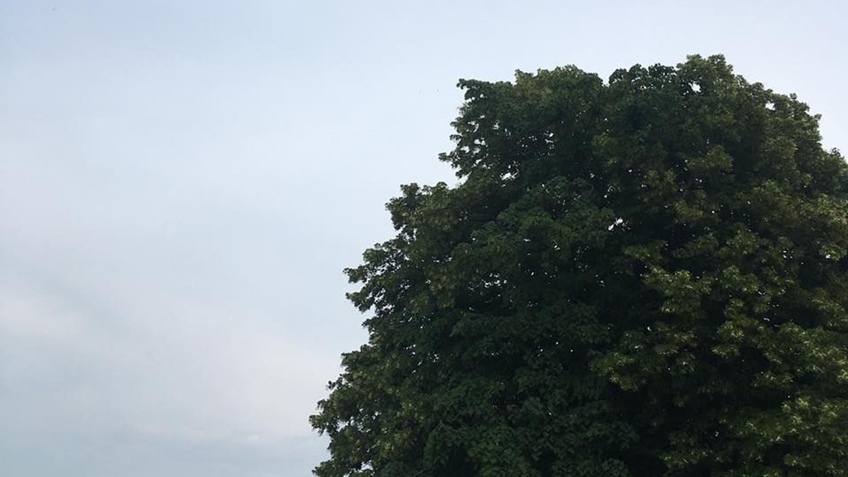 Pilgrimsvandring fra Timotheuskirken - fra Allerød til Farum