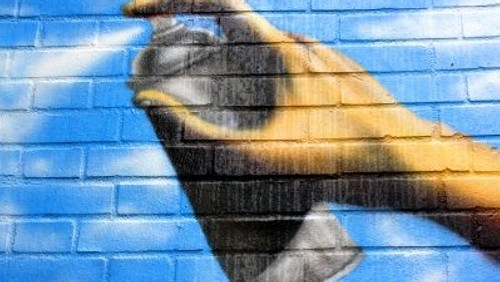 Graffiti und StreetArt - Stadtrundgang in Hamburg