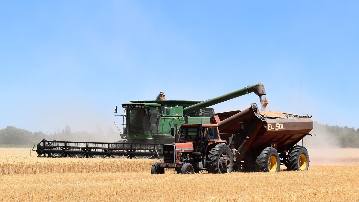 Harvest Festival