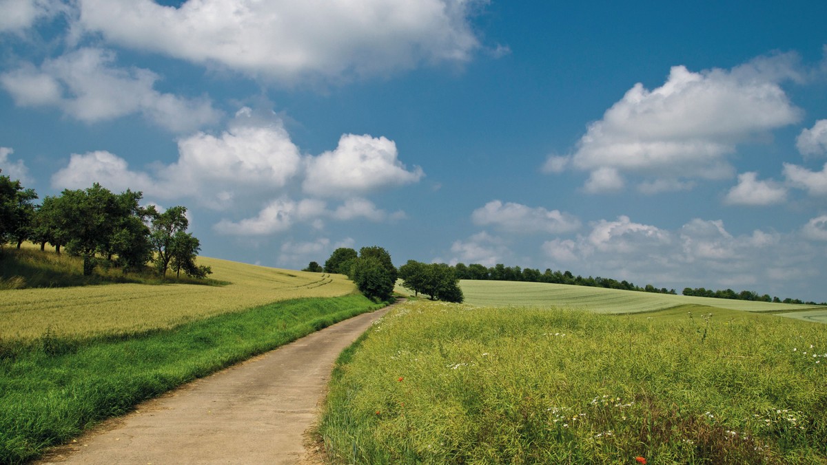 Pilgrimsvandring