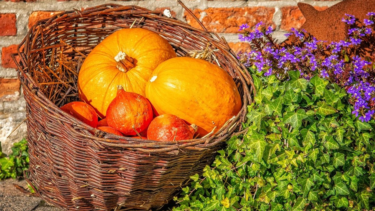 Festgottesdienst zum Erntedankfest