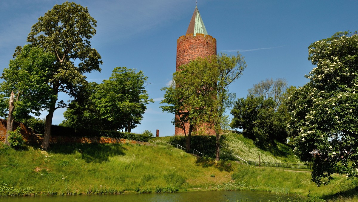 Eftermiddagsmøde, udgravningerne i Vordingborg