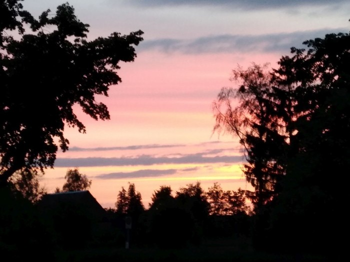 Abendstimmung bei Sophienthal Abendstimmung bei Sophienthal