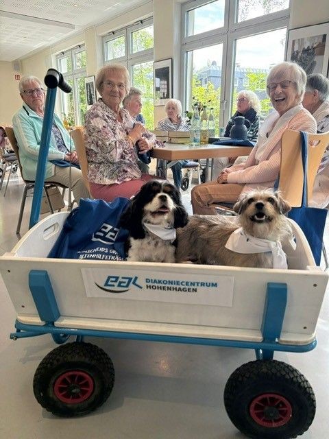 Hundebesuch bei den Eschenoldies-Sommer 2026