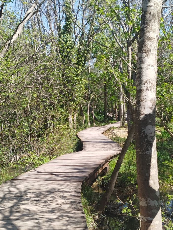 Der Weg
