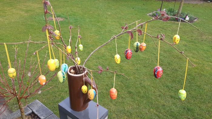 Eierstrauß Eierstrauß