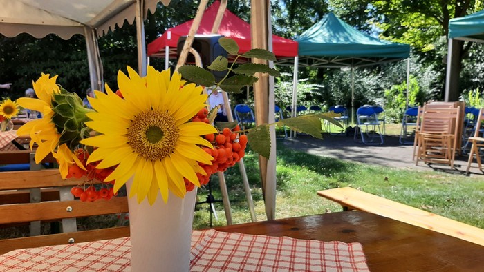 Sonnenblumen
