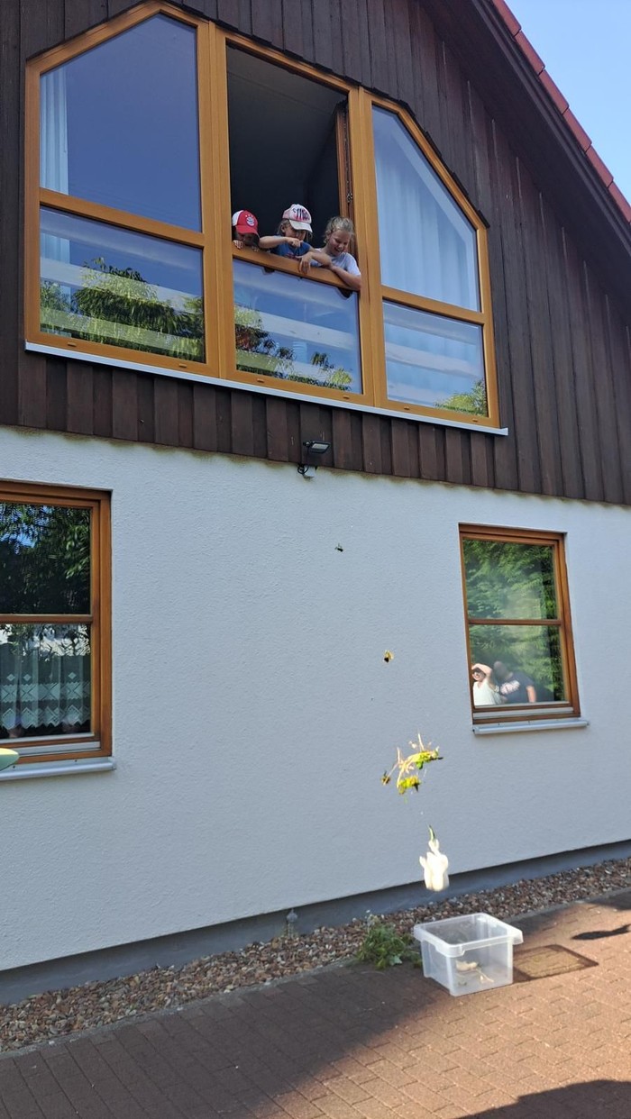Bleibt das Ei heil?