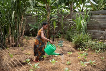 Joy Kamusiime, 38, bewässert den Gemüsegarten ihres Hauses im Dorf Kikunda 1 im Distrikt Rwampara. Fotograf/Agentur: Siegfried Modola/Brot für die Welt Joy Kamusiime, 38, bewässert den Gemüsegarten ihres Hauses im Dorf Kikunda 1 im Distrikt Rwampara. Fotograf/Agentur: Siegfried Modola/Brot für die Welt