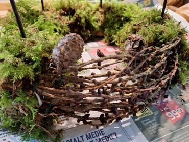 Små lærkegrene sættes ind i kransens skæreflader Små lærkegrene sættes ind i kransens skæreflader