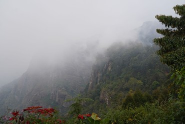 Nebel zieht durch eine dicht bewachsene Berglandschaft mit steilen Felswänden. Im Vordergrund wachsen rote Blumen und grüne Pflanzen.