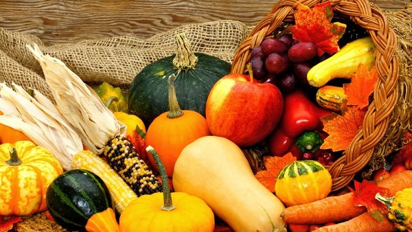 Ein Korb voller Herbstgemüse und Früchte, darunter Kürbisse, Äpfel und Karotten